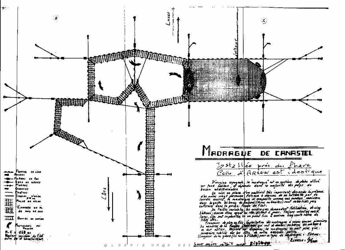 Oran documents divers 382.JPG